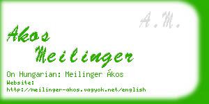 akos meilinger business card